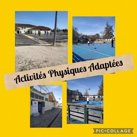 behzad-ghaffarian-nhwgznv85lq-unsplash