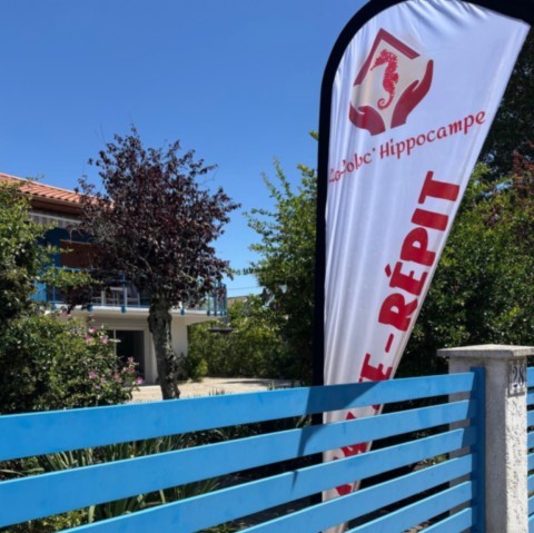 behzad-ghaffarian-nhwgznv85lq-unsplash